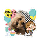 ココちゃんといっしょ（個別スタンプ：33）