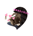 拳志朗らいふ 1（個別スタンプ：6）
