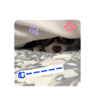 拳志朗らいふ 1（個別スタンプ：8）
