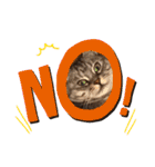 あめとゆき(=^ェ^=)時々ラウルU^ェ^U（個別スタンプ：10）
