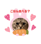 あめとゆき(=^ェ^=)時々ラウルU^ェ^U（個別スタンプ：13）
