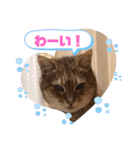 あめとゆき(=^ェ^=)時々ラウルU^ェ^U（個別スタンプ：18）