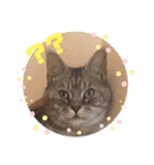 あめとゆき(=^ェ^=)時々ラウルU^ェ^U（個別スタンプ：19）