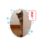 あめとゆき(=^ェ^=)時々ラウルU^ェ^U（個別スタンプ：20）