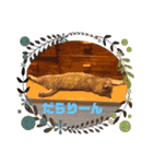 あめとゆき(=^ェ^=)時々ラウルU^ェ^U（個別スタンプ：23）