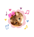 あめとゆき(=^ェ^=)時々ラウルU^ェ^U（個別スタンプ：25）