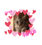 あめとゆき(=^ェ^=)時々ラウルU^ェ^U（個別スタンプ：26）