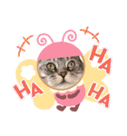 あめとゆき(=^ェ^=)時々ラウルU^ェ^U（個別スタンプ：30）