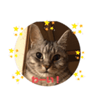 あめとゆき(=^ェ^=)時々ラウルU^ェ^U（個別スタンプ：32）