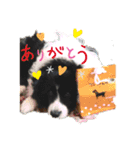 あすりーとくん（個別スタンプ：2）