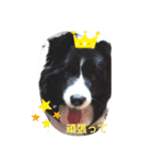 あすりーとくん（個別スタンプ：10）