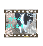 あすりーとくん（個別スタンプ：11）