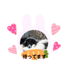 あすりーとくん（個別スタンプ：14）
