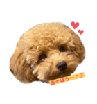 くっく❤️（個別スタンプ：1）