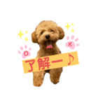 くっく❤️（個別スタンプ：2）
