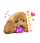 くっく❤️（個別スタンプ：3）