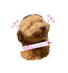 くっく❤️（個別スタンプ：4）