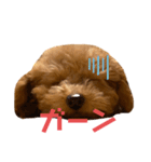 くっく❤️（個別スタンプ：5）
