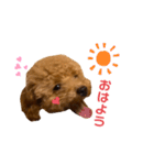 くっく❤️（個別スタンプ：6）