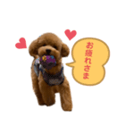 くっく❤️（個別スタンプ：7）