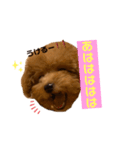 くっく❤️（個別スタンプ：8）