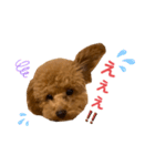 くっく❤️（個別スタンプ：9）