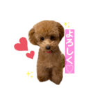 くっく❤️（個別スタンプ：11）