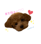 くっく❤️（個別スタンプ：12）
