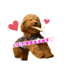 くっく❤️（個別スタンプ：13）
