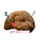 くっく❤️（個別スタンプ：15）