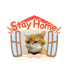 omiru chan4（個別スタンプ：5）