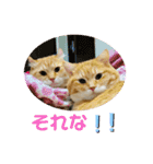 omiru chan4（個別スタンプ：13）