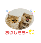 omiru chan4（個別スタンプ：14）