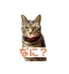 楽しいかぞく（個別スタンプ：4）