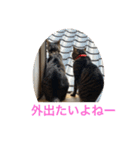 楽しいかぞく（個別スタンプ：8）