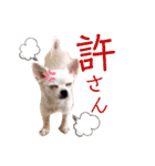 ゆかいなイヌ2（個別スタンプ：3）