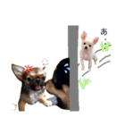 ゆかいなイヌ2（個別スタンプ：17）