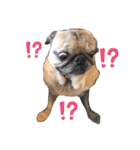 かわいい犬猫のつぶやき（個別スタンプ：4）