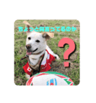 かわいい犬猫のつぶやき（個別スタンプ：14）