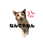 かわいい犬猫のつぶやき（個別スタンプ：18）