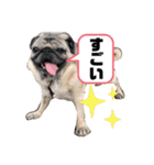 かわいい犬猫のつぶやき（個別スタンプ：21）