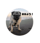 かわいい犬猫のつぶやき（個別スタンプ：23）
