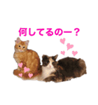 我が家のかいじゅうたち（個別スタンプ：1）