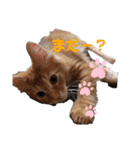 我が家のかいじゅうたち（個別スタンプ：4）
