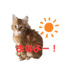 我が家のかいじゅうたち（個別スタンプ：7）