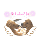 ゴールデンレトリバーの姫と雛 2（個別スタンプ：2）