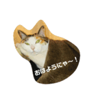 ひぃと花子（個別スタンプ：1）