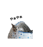 ねるるな。（2）（個別スタンプ：11）