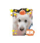 スピッツファミリー②（個別スタンプ：9）