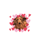 茶色い犬のスタンプ001（個別スタンプ：2）